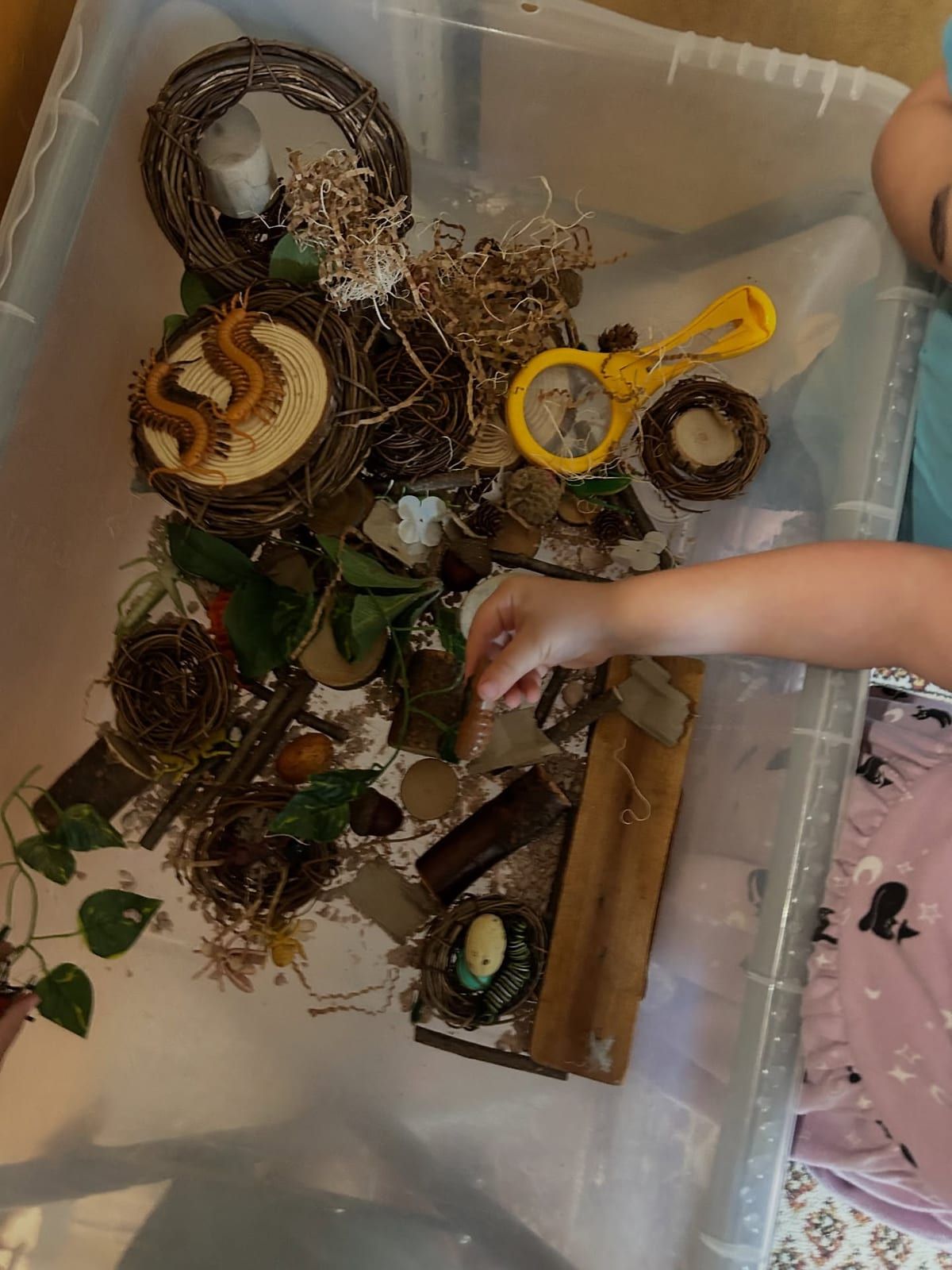 A child's hand reaching into a bin of twig nests, moss, a magnifying glass and wooden pieces.