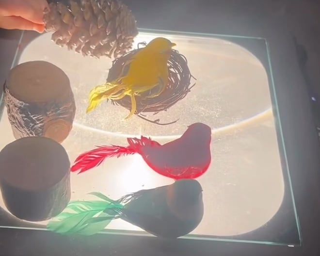 A child's hand holds a pinecone over a glowing light table set with a twig nest, feathered toy birds and two wood slices.